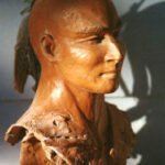 Le Cerf Agile II, by Bernadette Straub